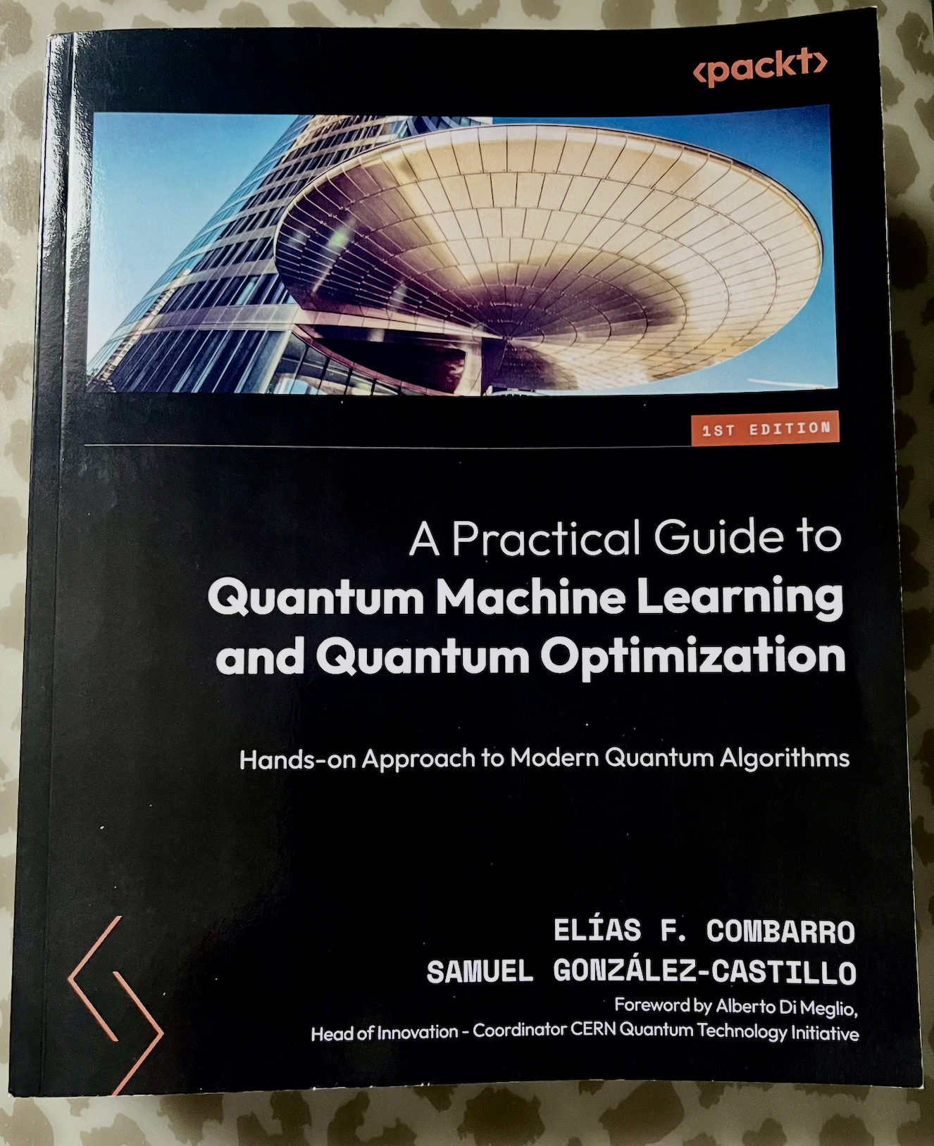Practical Guide to Quantum Machine Learning and Quantum Optimization